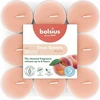 Bolsius arbatinės žvakutės su aromatu. 18 vnt. „True Scents“ persikų skonio