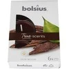 Bolsius BOLSIUS „True Scents 4H“ kvapiosios žvakutės, 60 vnt. AGARO MEDIS