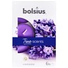 Bolsius BOLSIUS „True Scents 4H“ kvapiosios žvakutės, 60 vnt. LEVANDŲ