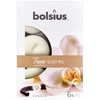 Bolsius BOLSIUS True Scents 4H kvapiosios žvakutės arbatinėms, 60 vnt. Vanilės skonio