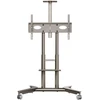 TV SET ACC MOBILE STAND/32-75"/CHAMPAGNE TS1571-C ONKRON TS1571-C (4262392443407)