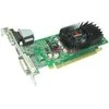 Vaizdo plokštė BIOSTAR NVIDIA GeForce 210, 1 GB, DDR3, VN2103NHG6