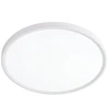 Lubinis šviestuvas Visional LED waterproof luminaire 24 W, 3CCT, 2880 lm, IP44, Ø 300 x 25 mm