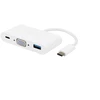 Vivanco adapteris USB-C – VGA 3in1 (45386)