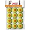 WILSON Starter Oranžinis (12 kam.)
