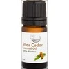 Atlasinių kedrų eterinis aliejus AMRITA, 5 ml