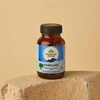 Ekologiškas maisto papildas "Bowelcare" ORGANIC INDIA, 60 kaps.