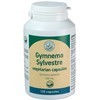 Maisto papildas Gymnema Sylvestre, Herbals 500mg, 120 vnt.
