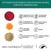 Grandininis pjūklas Maisto papildas MULTIBIOTIC TOGETHER (13 Billion CFU), 30 kaps.