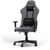 DXRACER Prince Series L pilka ergonominė kėdė (L24-FBC-G)