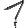 Fifine BM66 mikrofonas desk stand juodos spalvos