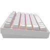 Klaviatūra Dark Project ALU81A Terra Nostra Baltas, G3MS Moonstone Switch, RU
