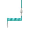 Hewlett Packard (HP) HP HyperX USB-C suvyniotas kabelis Light Žalias-Baltas