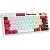 Royal Kludge M65 RGB Famicom belaidė klaviatūra | 60%, Hot-swap, rusvai gelsvas switches, US