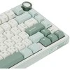 Klaviatūra ROYAL KLUDGE R75 Sky Cyan, K Sidabrinis Switch, RU