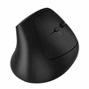CANYON pelė MW-25 Ergonomic LED AA Dual mode Wireless Juodas