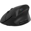 CANYON pelė MW-25 Ergonomic LED AA Dual mode Wireless Juodas