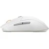 STEELSERIES Rival 3 WL Gen 2 Pelė - Baltas