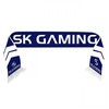 SK GAMING FAN SCARF 2017 mėlynas