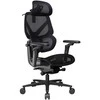 ThunderX3 FLEX Pro Gaming Chair, ergonomic – mesh, juodas