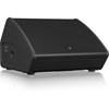 Turbosound TFM-152M Monitorius pasyvi scena 15"