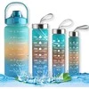 Gertuvė Gertuvių rinkinys Botella De Agua, 4 vnt., 2200+820+520+280 ml