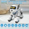 Radijo bangomis valdomas šuo robotas RC robot dog