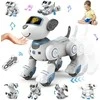 Radijo bangomis valdomas šuo robotas RC robot dog