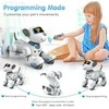 Radijo bangomis valdomas šuo robotas RC robot dog