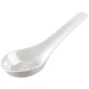 Asian spoon