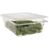Multi Container GN 1/2-100, transparent