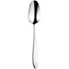 Eternum Dessert spoon