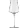 Zwiesel Stiklinės, 545 ml, „Akimirka“, 2 vnt.