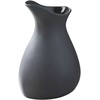 Revol Jug