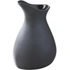 Revol Jug