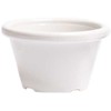 Ramekin, 45 ml, baltas