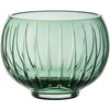 Zwiesel Small vase Smoky Žalias, Signum