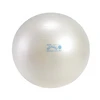 Gymnic Fit Ball kamuolys 55