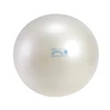 Gymnic Fit Ball kamuolys 55