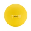 Gymnic Pasunkintas kamuolys Heavymed 2kg