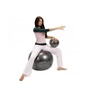 Gymnic Plus kamuolys 65 juodas
