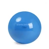 Physio Gymnic kamuolys 95 cm
