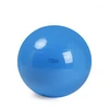 Physio Gymnic kamuolys 95 cm