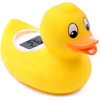 Vonios termometras Digi Duckling