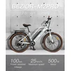 Elektrinis dviratis Bezior M2 Pro, 26", 500W, 12,5Ah, juodas