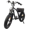 Elektrinis dviratis Bezior XF001, 20", 1000W, 12,5Ah, juodas