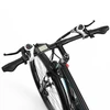 Elektrinis dviratis Duotts C29, 29", 750W, 15Ah, juodas