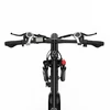 Elektrinis dviratis Duotts C29, 29", 750W, 15Ah, juodas