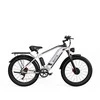 Elektrinis dviratis Duotts F26, 26", 1500W, 17,5Ah LG, pilkas
