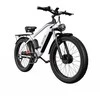 Elektrinis dviratis Duotts F26, 26", 1500W, 17,5Ah LG, pilkas